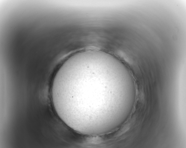 X0000089461454200706221256