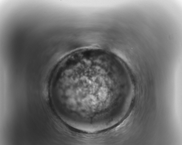 X0000089461455200706221256