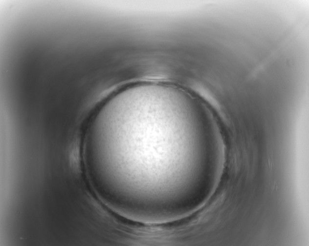 X0000089461456200706221256