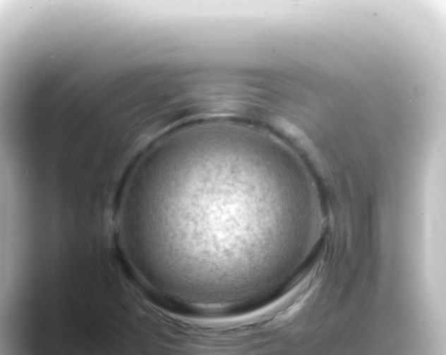 X0000089461457200706221256