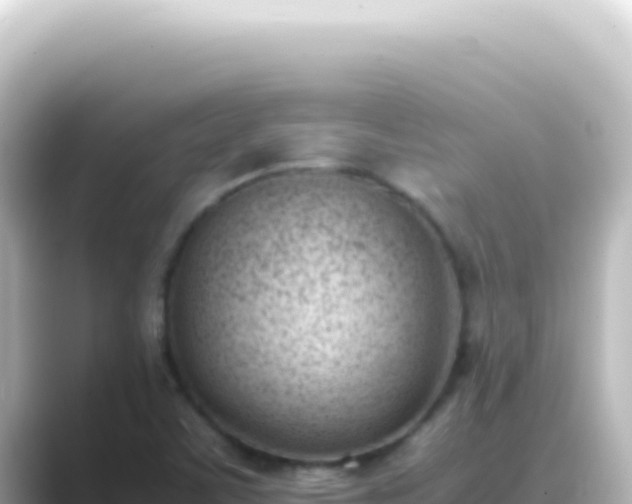X0000089461459200706221256