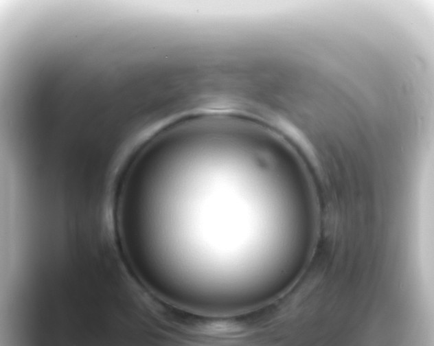 X0000089461464200706221256