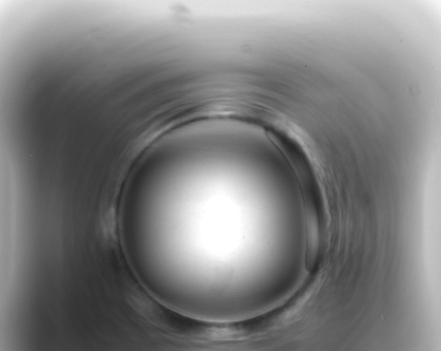 X0000089461465200706221256