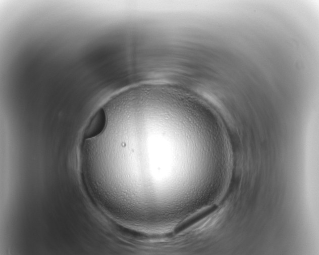 X0000089461467200706221256