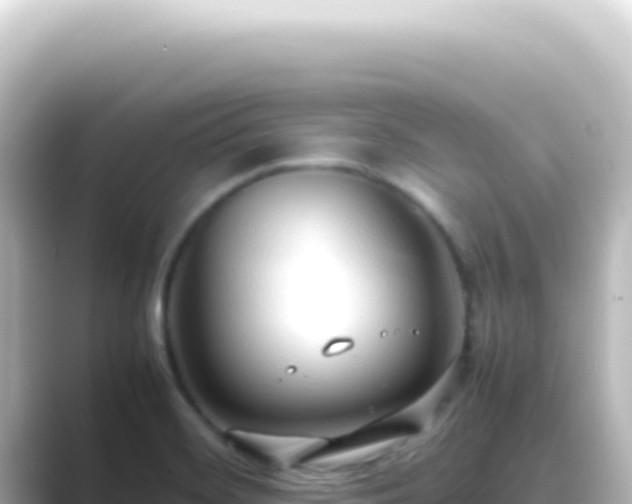 X0000089461468200706221256