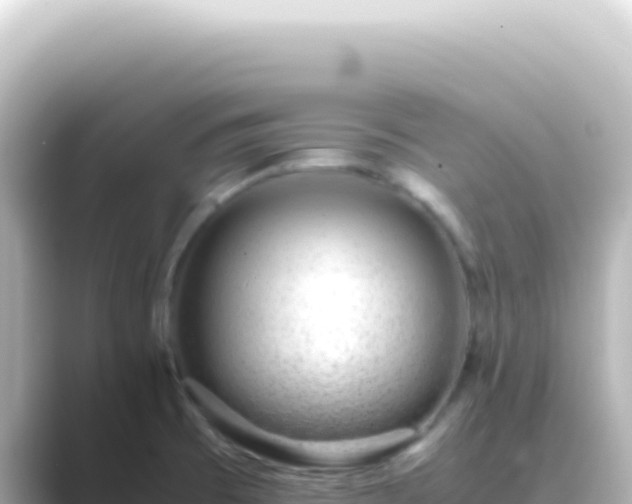 X0000089461473200706221256