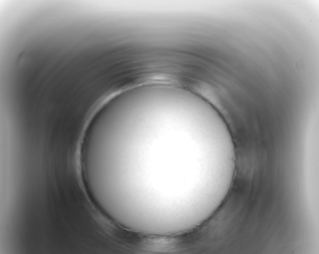 X0000089461474200706221256