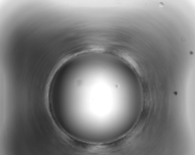 X0000089461475200706221256