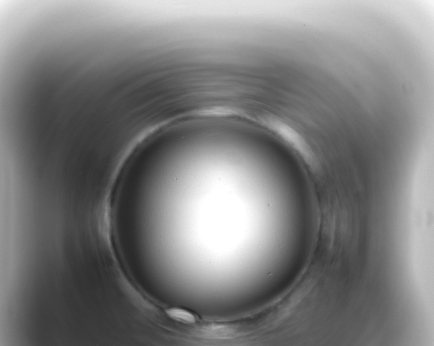 X0000089461476200706221256