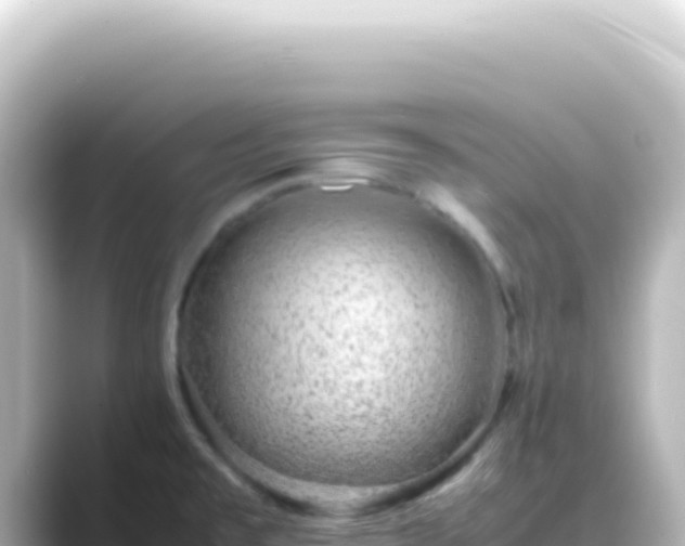 X0000089461477200706221256