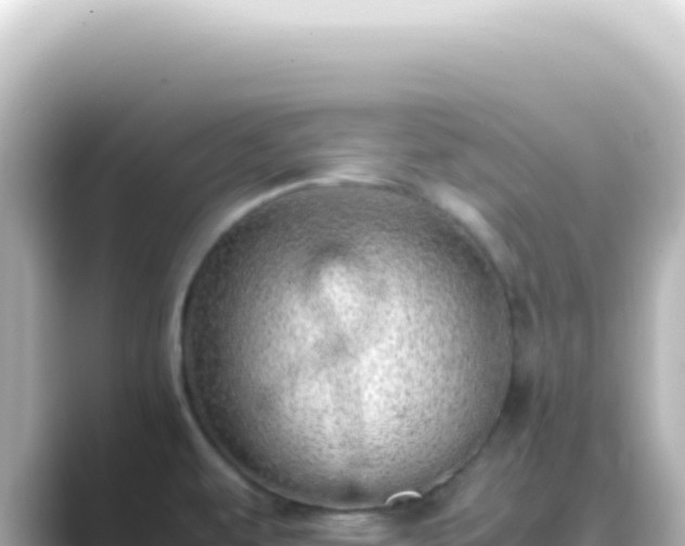 X0000089461479200706221256
