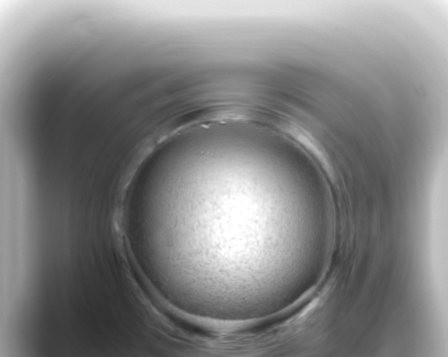 X0000089461481200706221256