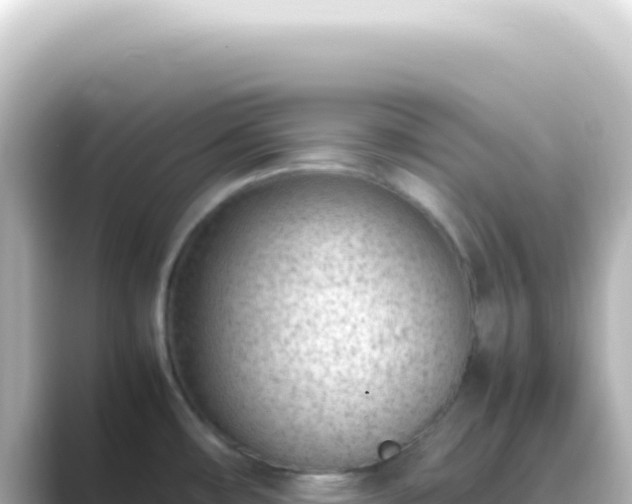 X0000089461482200706221256
