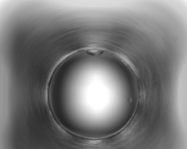 X0000089461484200706221256