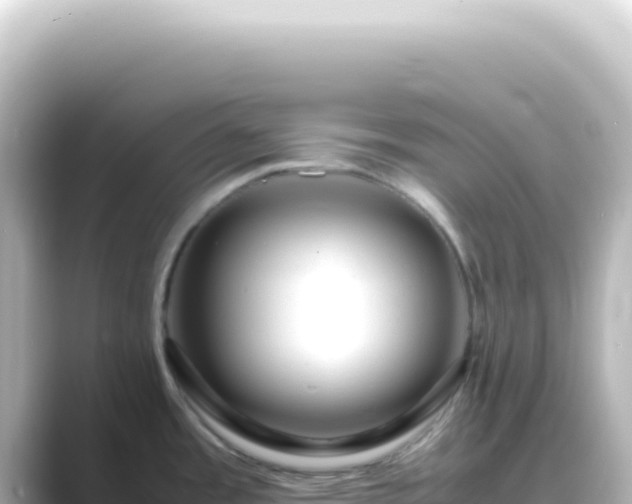 X0000089461485200706221256
