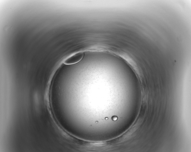 X0000089461486200706221256