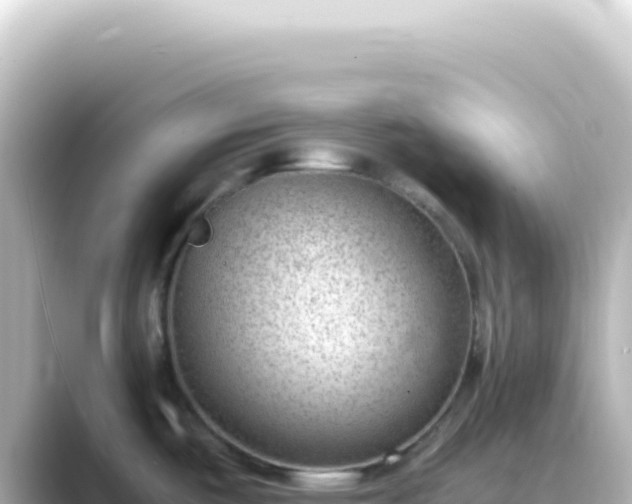 X0000089461487200706221256