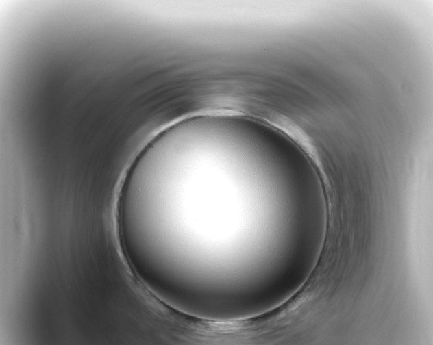 X0000089461488200706221256