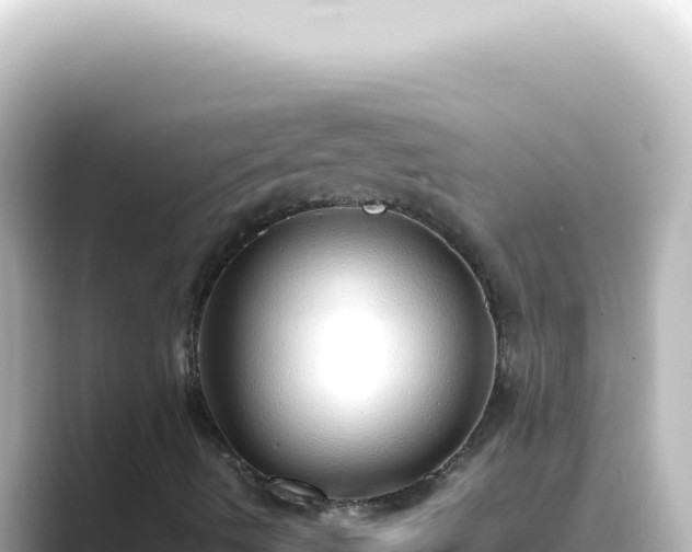 X0000089461490200706221255
