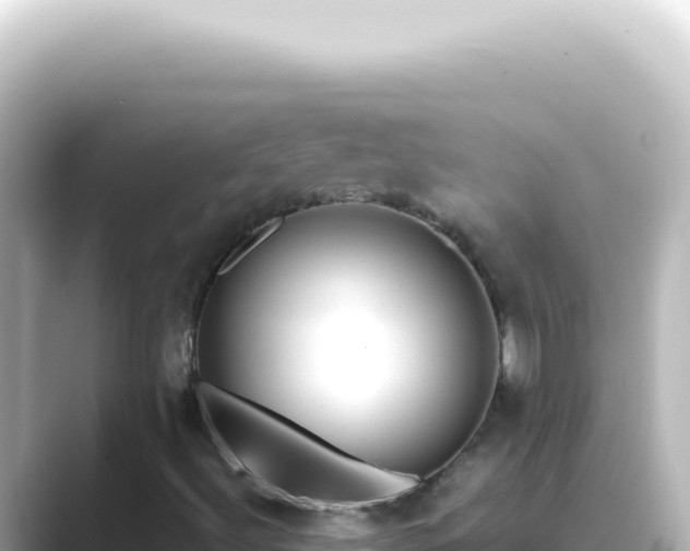 X0000089461492200706221255