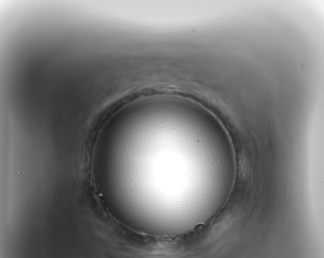 X0000089461494200706221255