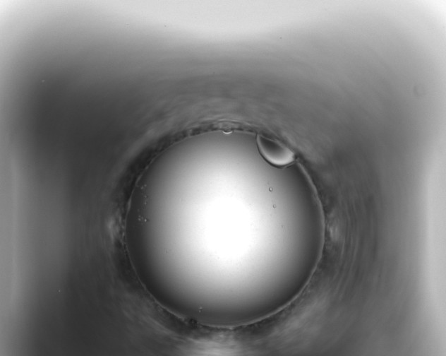 X0000089461495200706221255