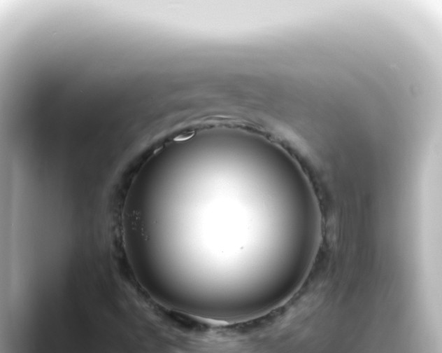 X0000089461496200706221255