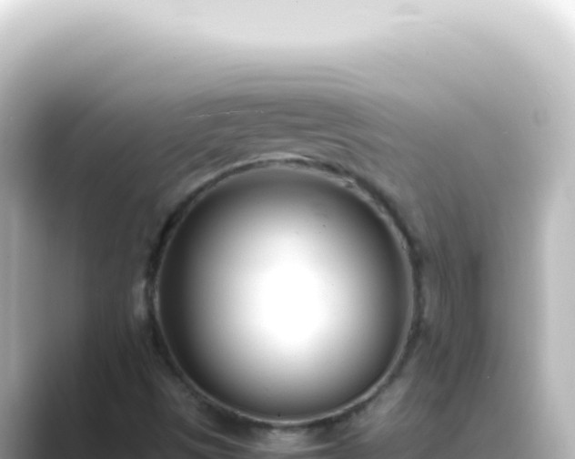 X0000089461497200706221255