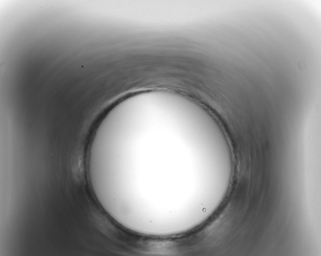 X0000089461498200706221255