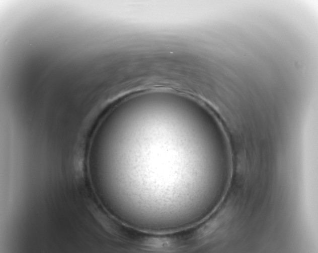 X0000089461499200706221255