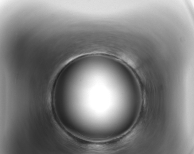 X0000089461500200706221255
