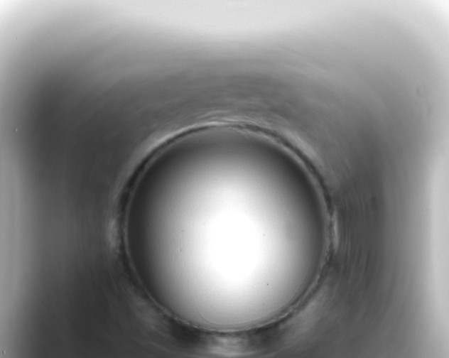 X0000089461501200706221255