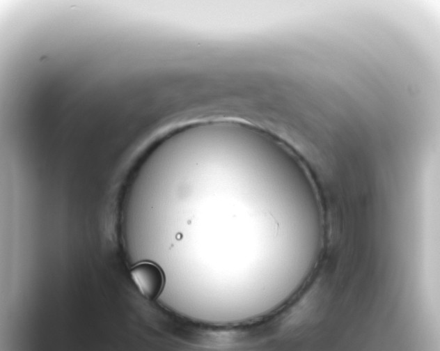 X0000089461502200706221255