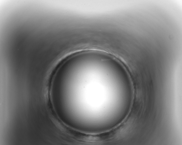 X0000089461503200706221255