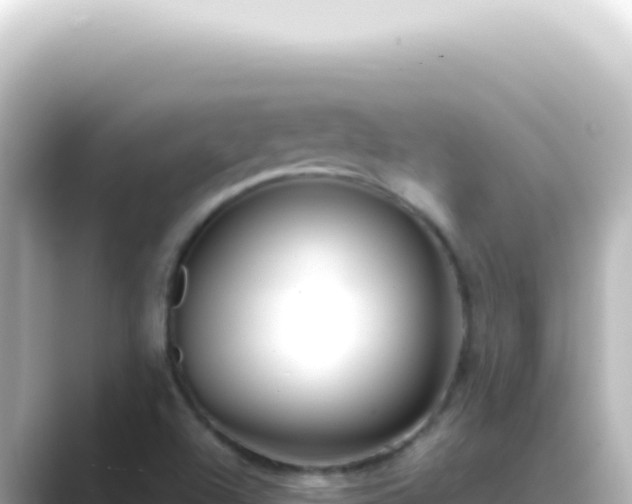 X0000089461504200706221255