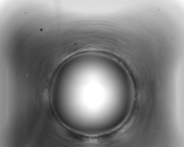 X0000089461505200706221255