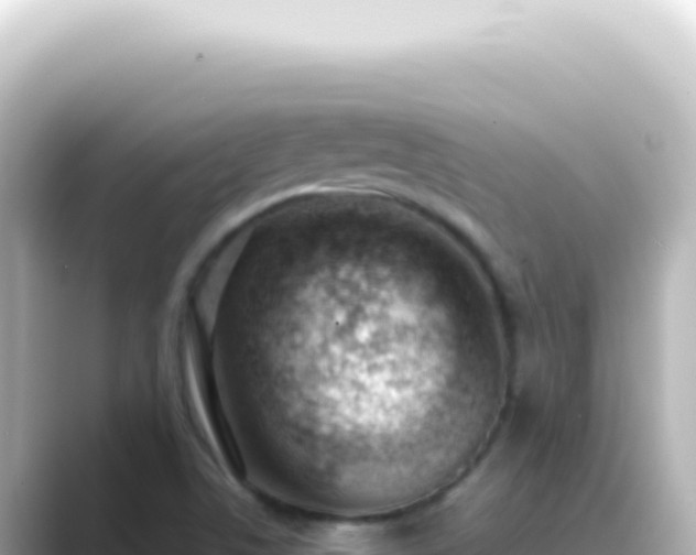 X0000089461506200706221256