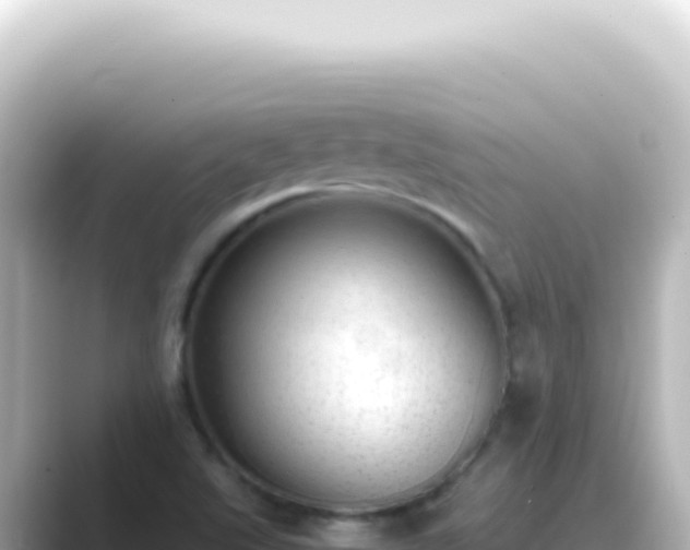 X0000089461507200706221256