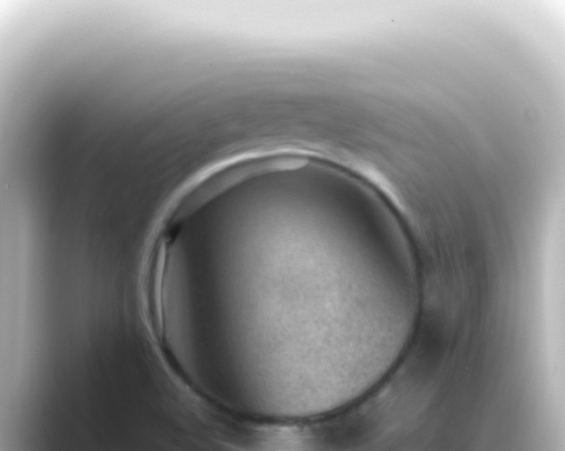 X0000089461508200706221256