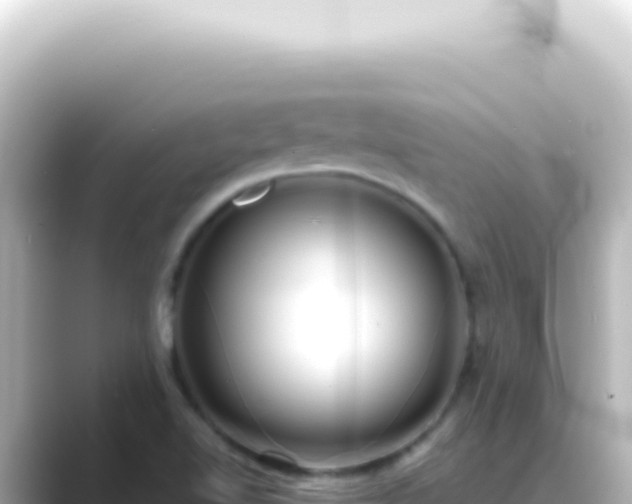 X0000089461510200706221256