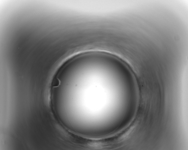 X0000089461511200706221256