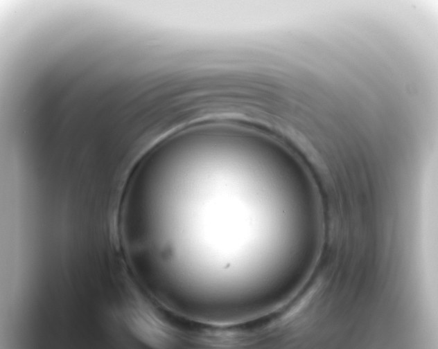 X0000089461513200706221256