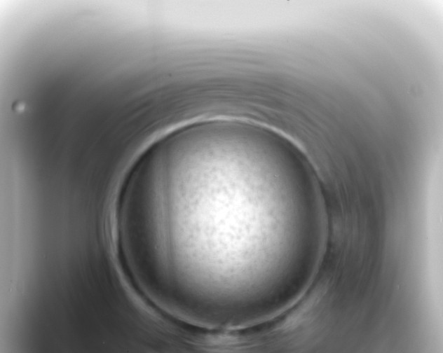 X0000089461515200706221256