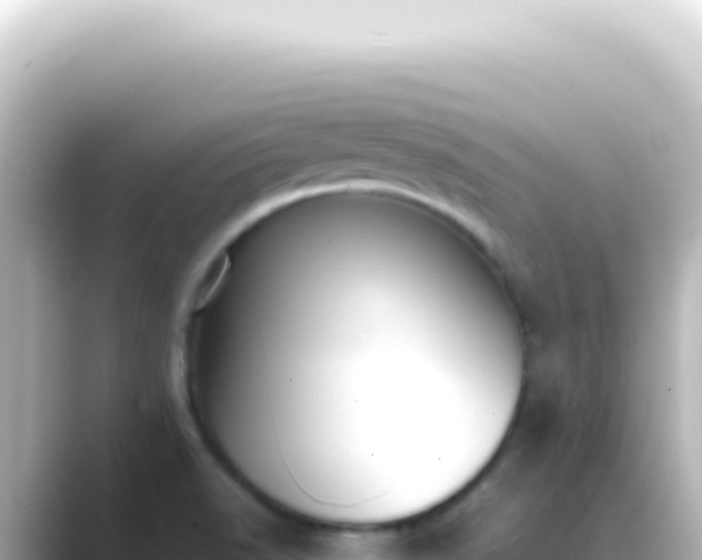 X0000089461518200706221256