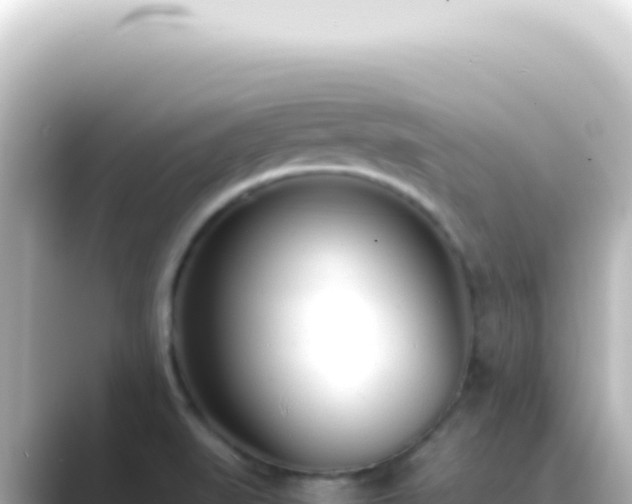 X0000089461519200706221256