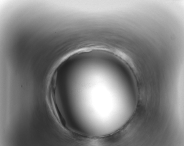 X0000089461520200706221256