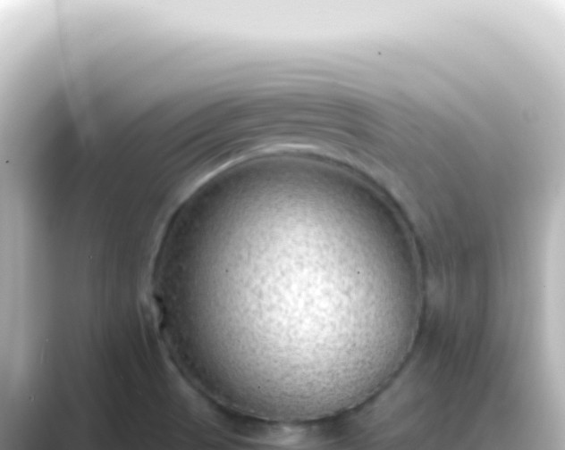 X0000089461521200706221256