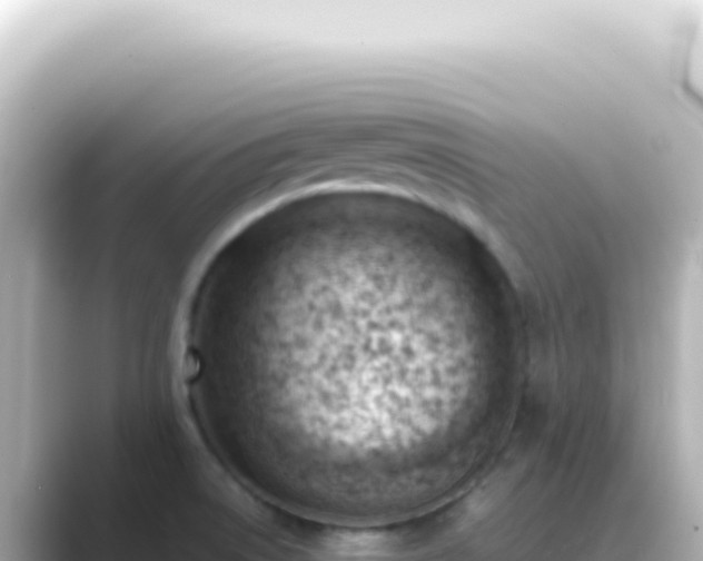 X0000089461522200706221256
