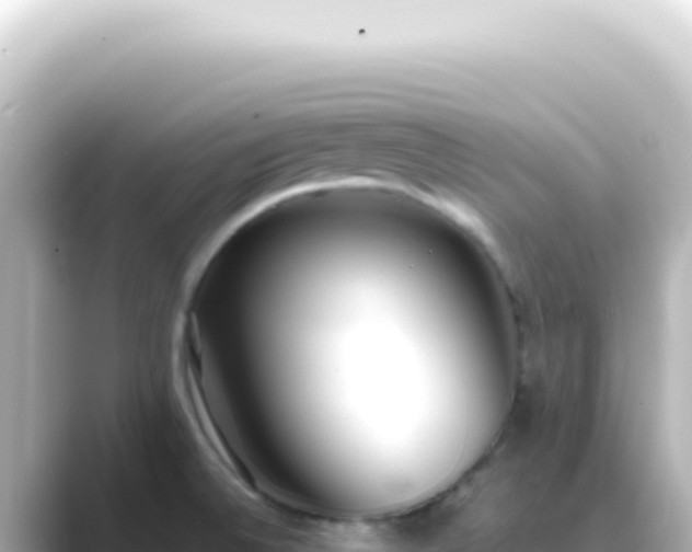 X0000089461524200706221256