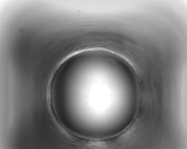 X0000089461526200706221256